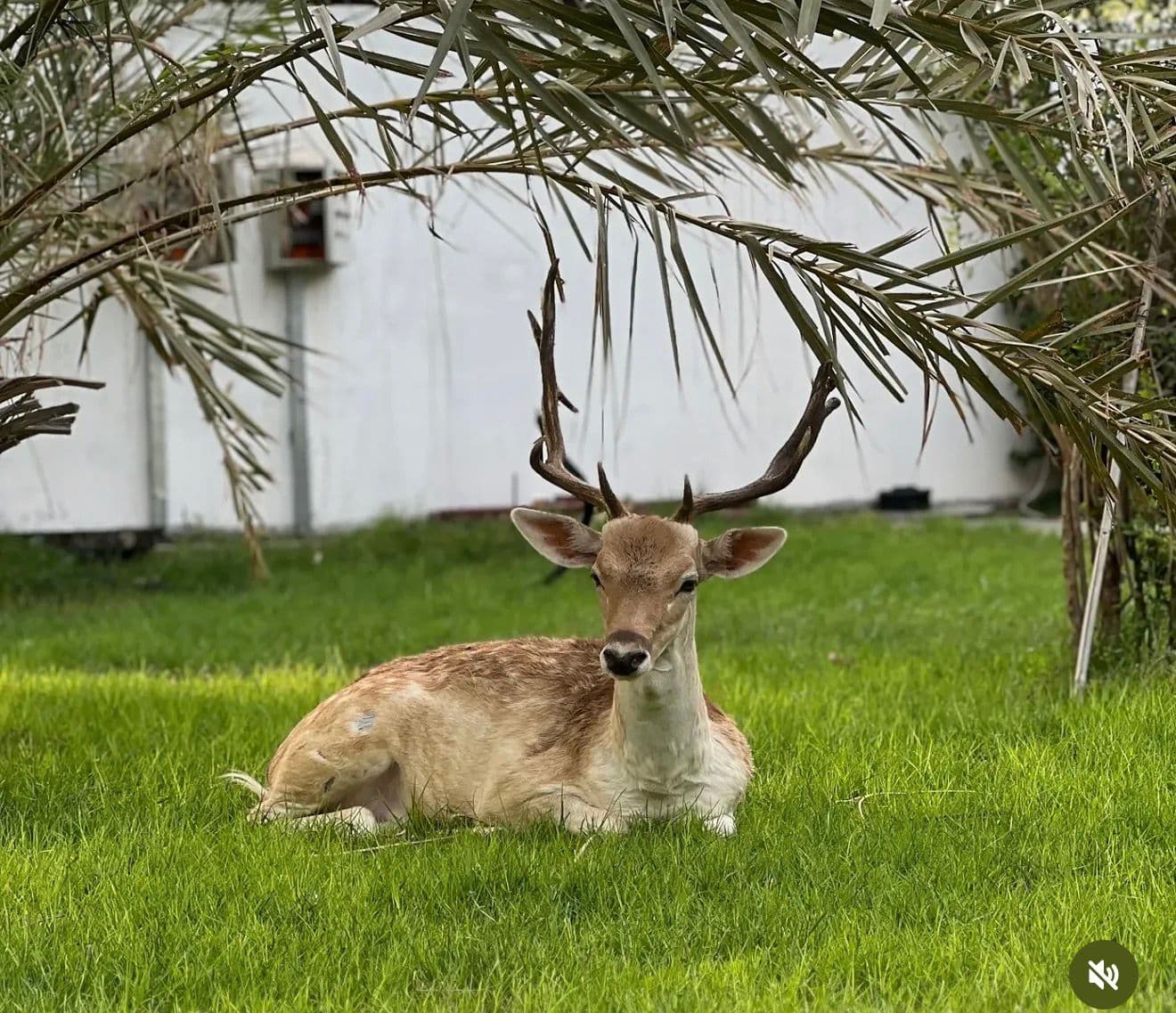 Wildlife all around you
