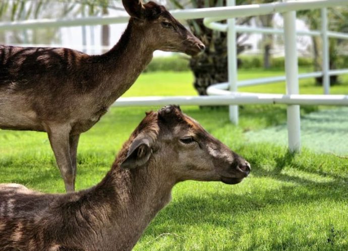 WhatsApp Image 2024-10-19 at 09.38.29